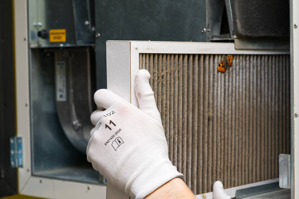 Best HVAC Duct Inspection Services  in Sorrento, LA