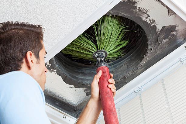 Best Affordable Air Duct Cleaning  in Sorrento, LA
